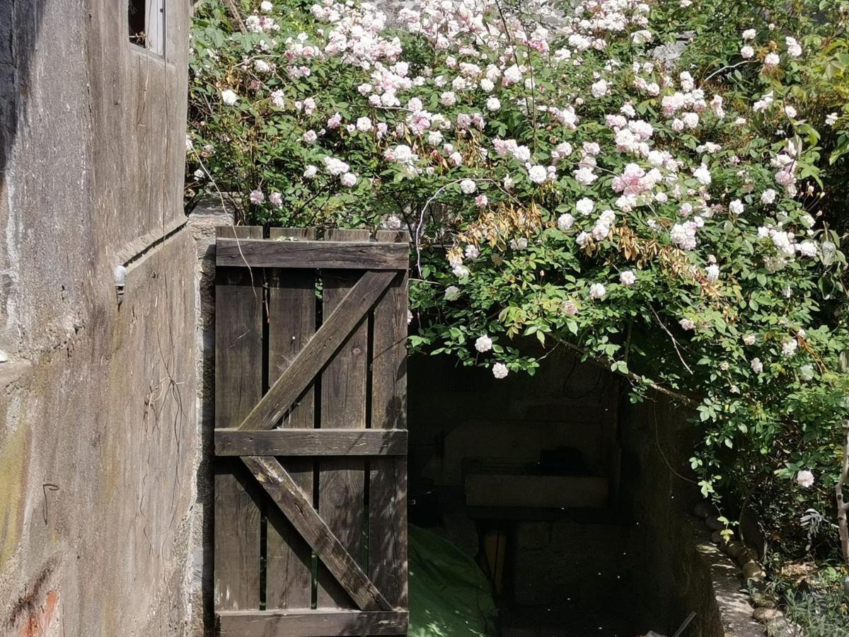 Verites Dame Villa Porto Luaran gambar